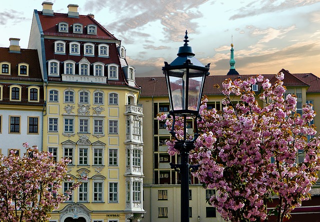 Umzugskosten sparen in Dresden